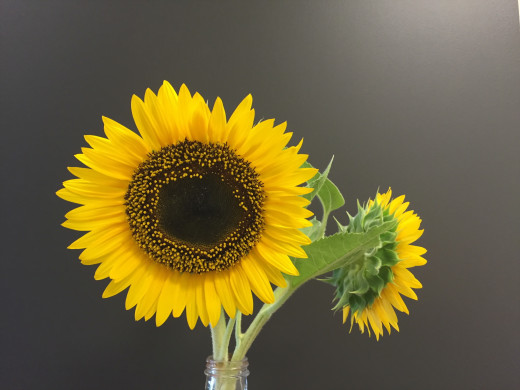 1008993 (a): :2560x1920